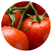 Lycopene