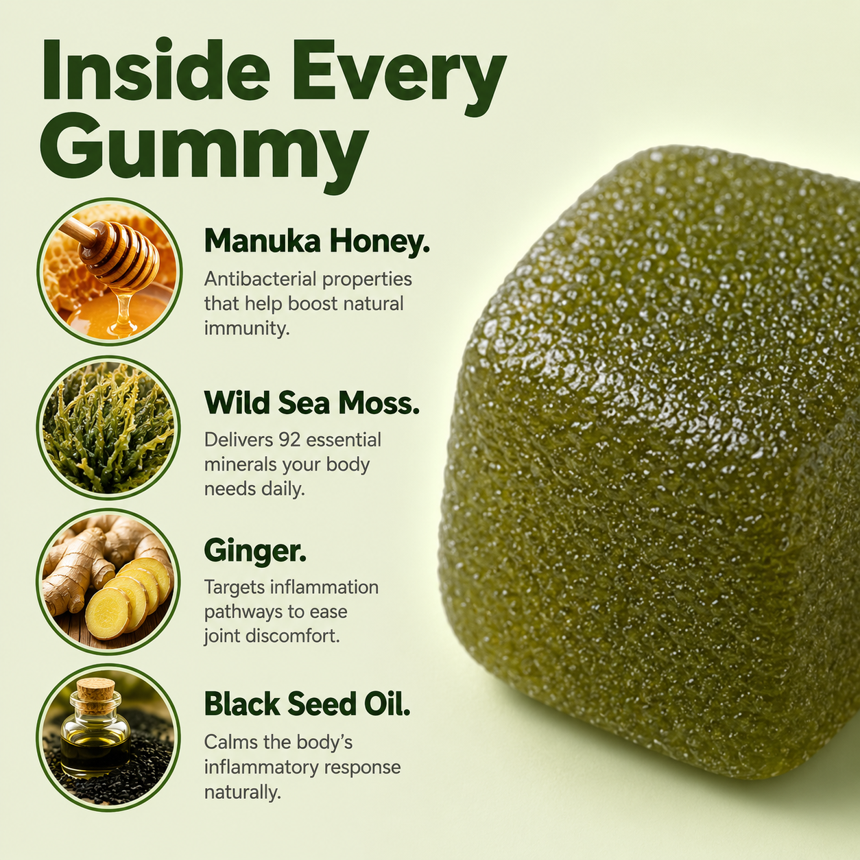Sea Moss 16-In-1 Gummies