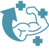 Muscle Function